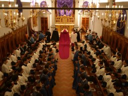 001-VendrediSaint-Gricigliano_20250418_063838