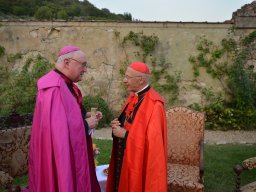 048-Chapitre_2025-Grand-Jubile-du-Cardinal-Gricigliano_20250828_193742
