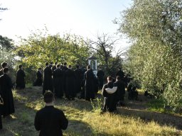 011-Vendages_Grcigliano_2025-Gricigliano_20250906_080724