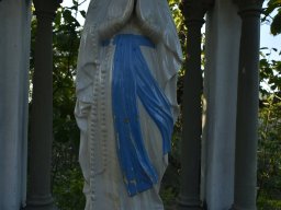 012-Vendages_Grcigliano_2025-Gricigliano_20250906_081250