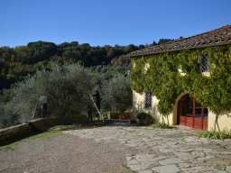 009-Olives-Gricigliano_2025-11-04_11-10-26_0248