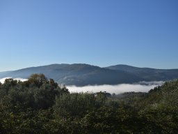 020-Olives-Gricigliano_2025-11-06_09-49-52_0391