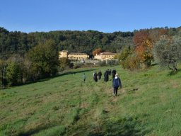 022-Olives-Gricigliano_2025-11-06_10-55-12_0414